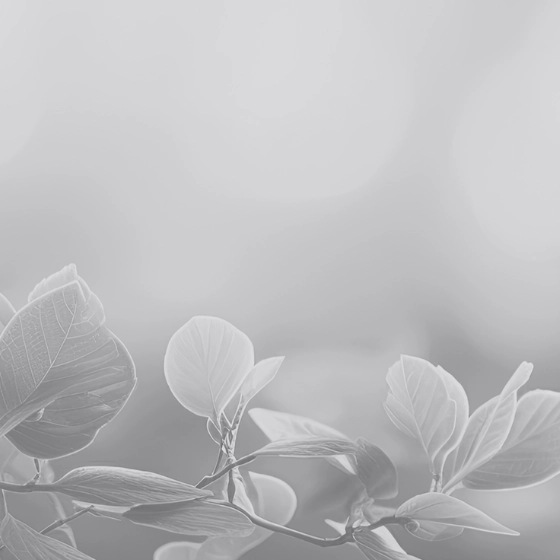 Lorem ipsum dolor sit amet